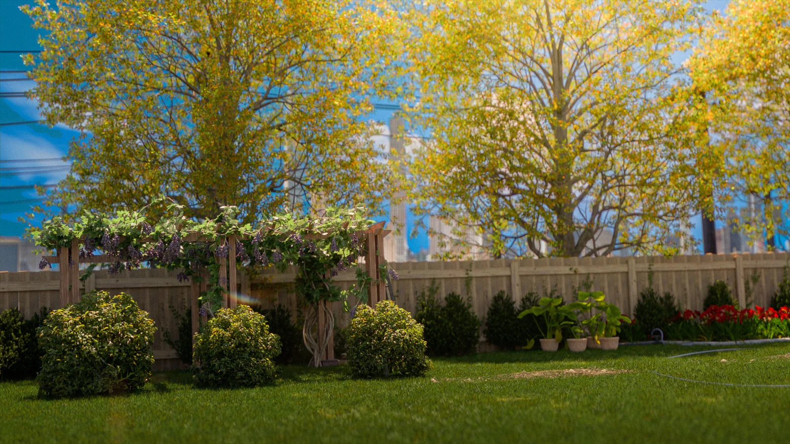 Backyard Happiness screenshot 3