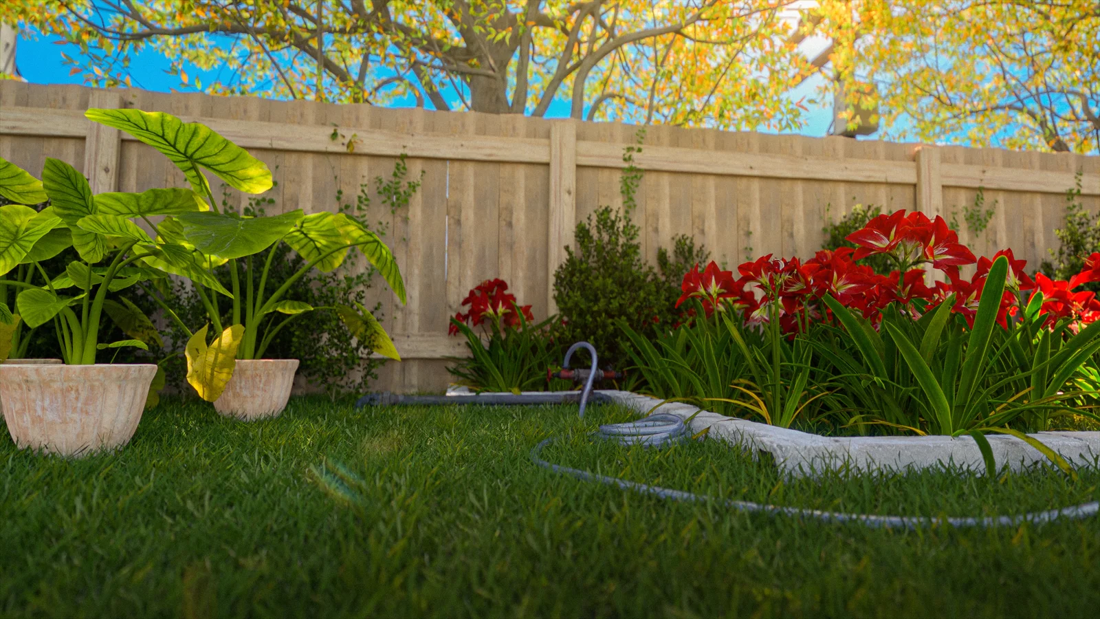 Backyard Happiness screenshot 4