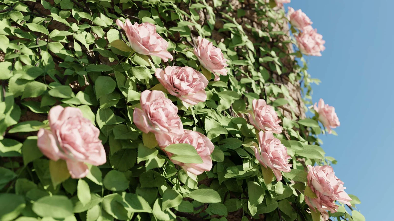 BagaIvy screenshot 4