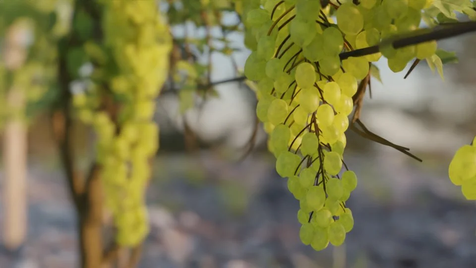 BagaIvy screenshot 6