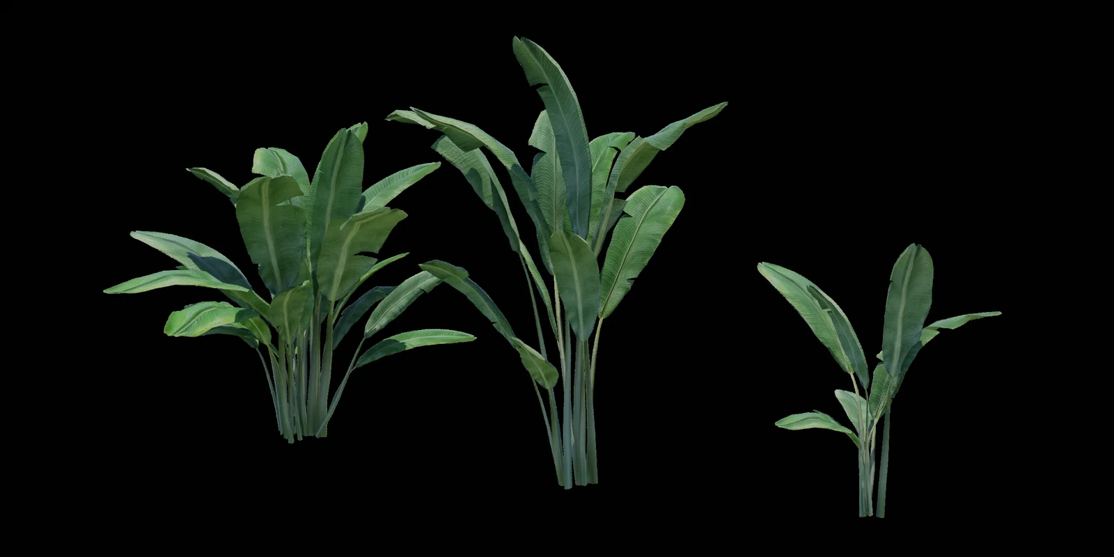 Banana Tree Plants screenshot 3
