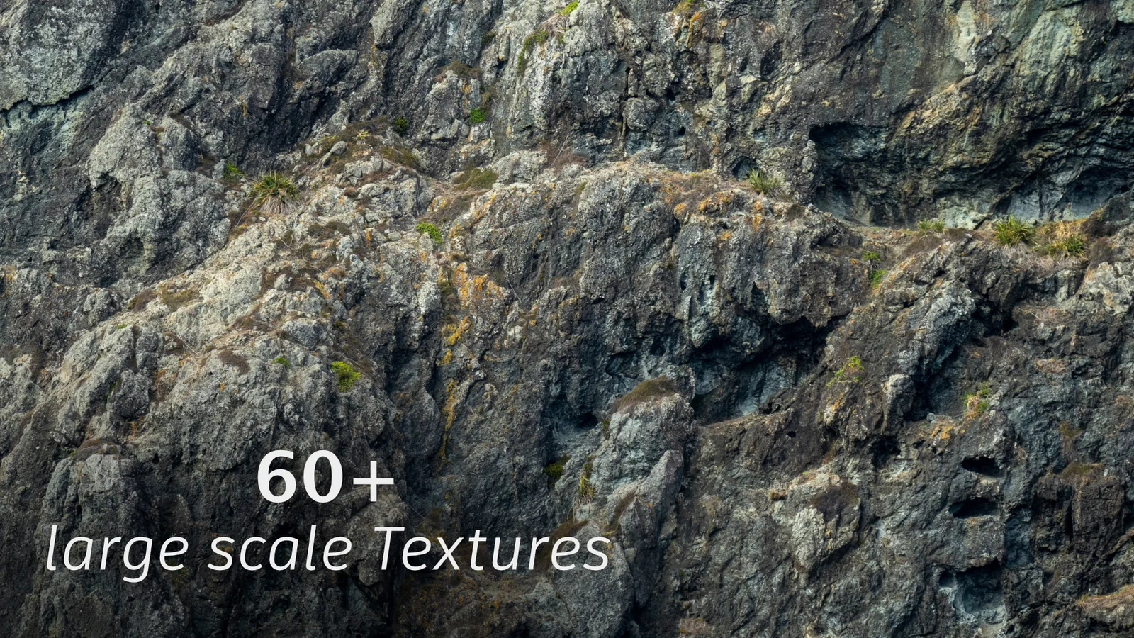 Bay Of Islands Image Pack screenshot 3