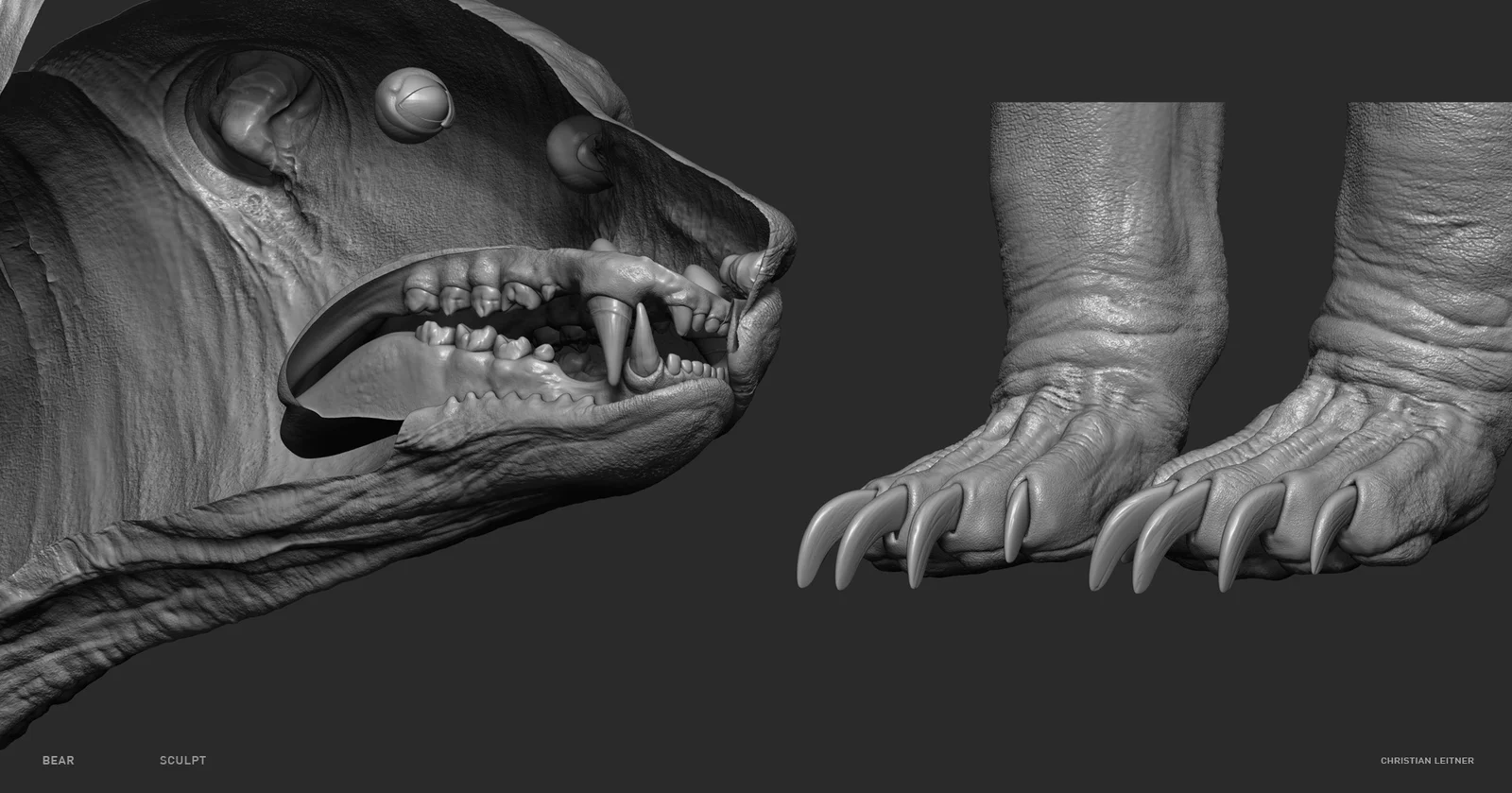 Bear Anatomy Model screenshot 3