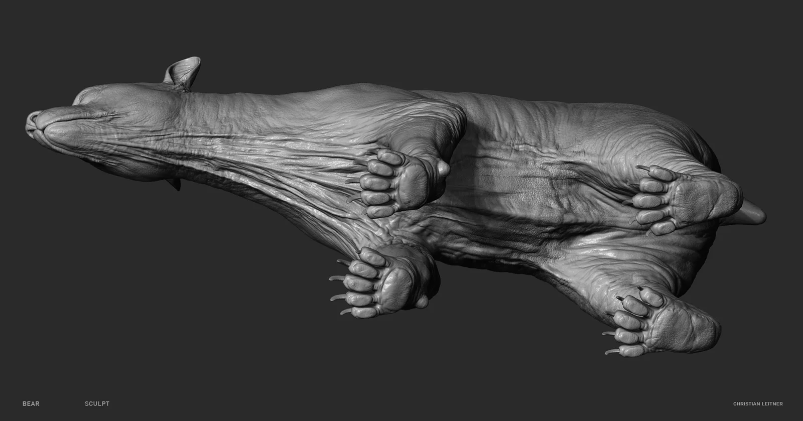 Bear Anatomy Model screenshot 4