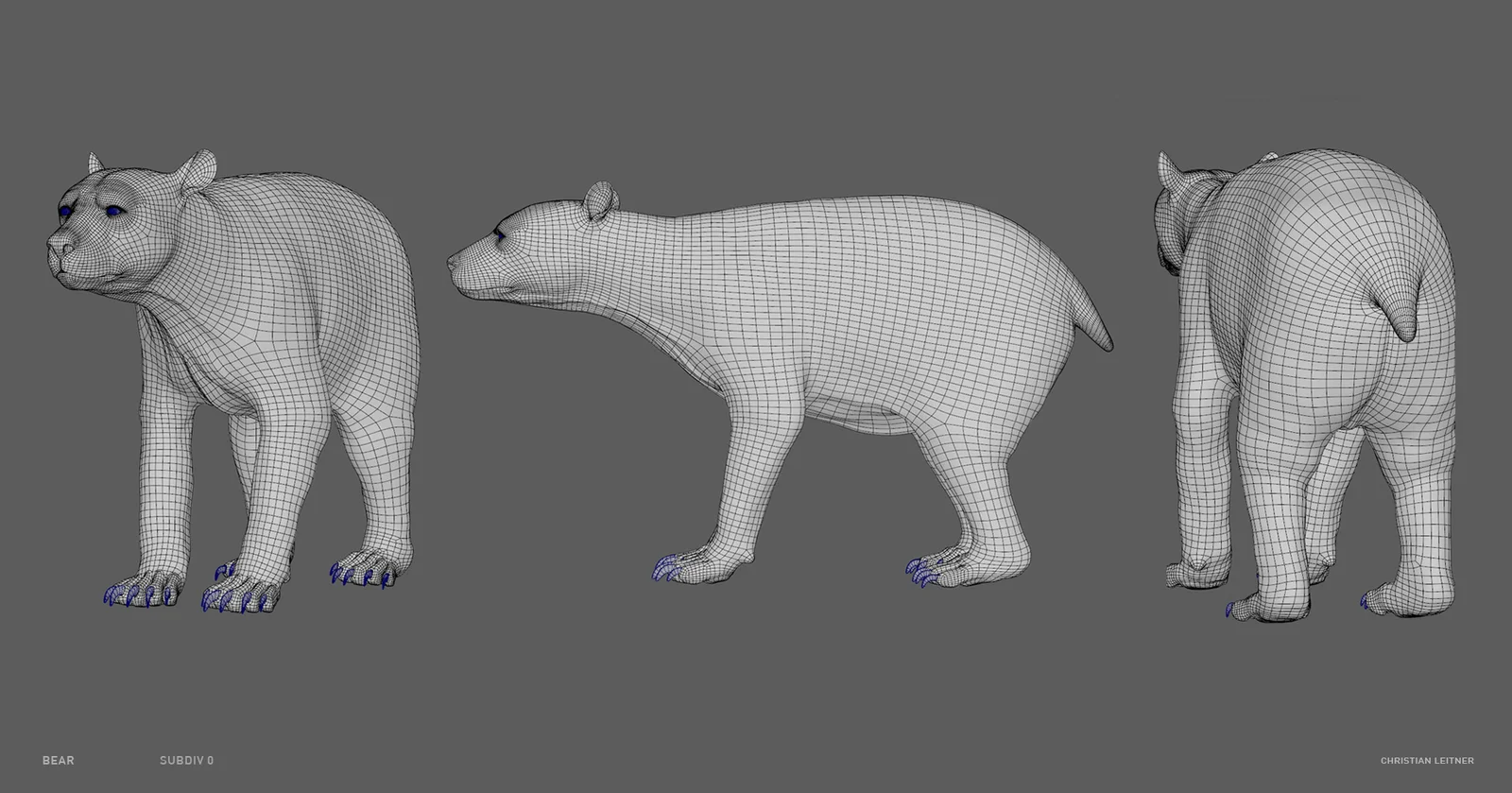 Bear Anatomy Model screenshot 5