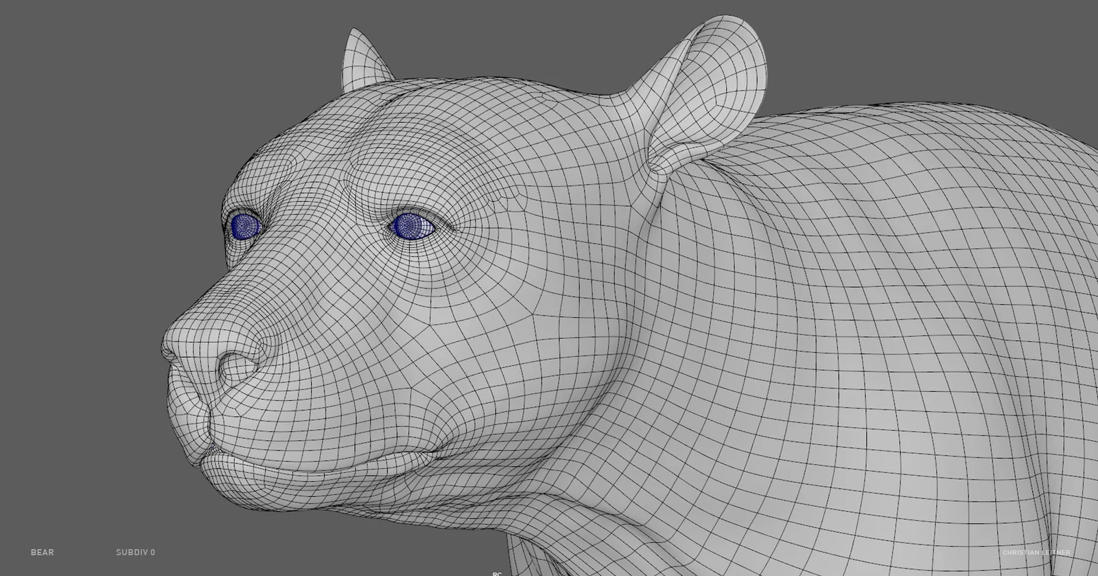 Bear Anatomy Model screenshot 8
