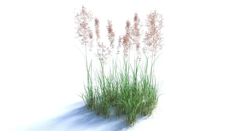 Bent Grass - Blender 3d models