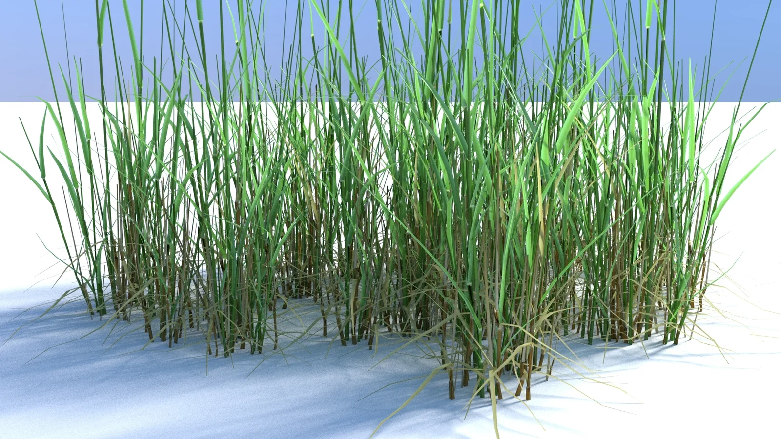 Bent Grass screenshot 2