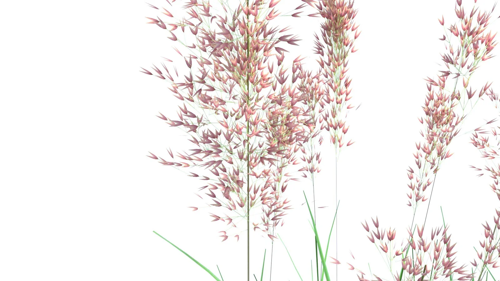 Bent Grass screenshot 3