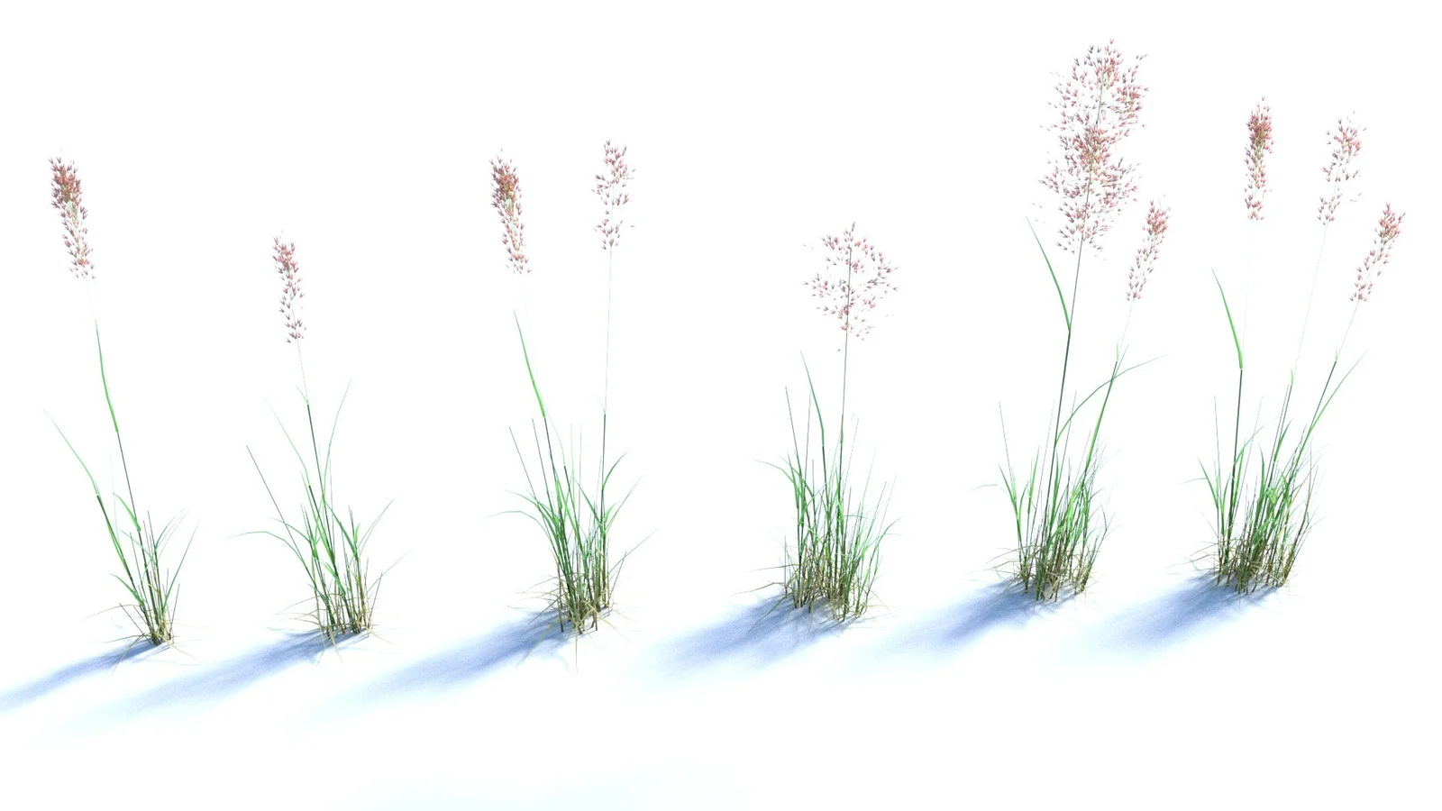 Bent Grass screenshot 4