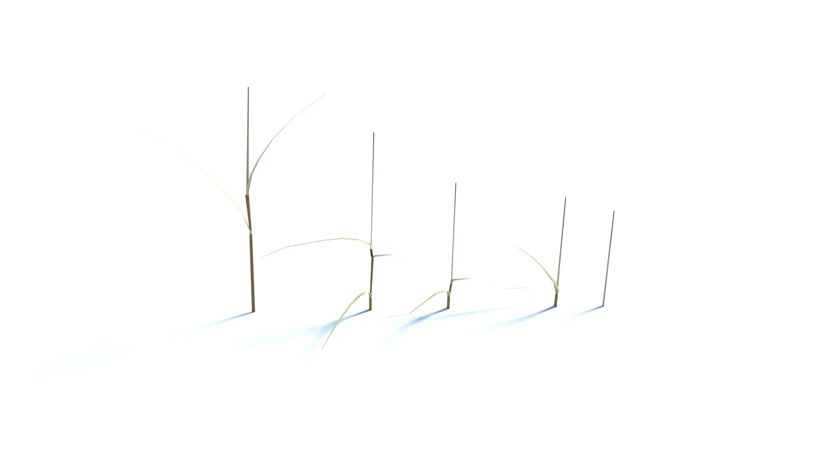 Bent Grass screenshot 5