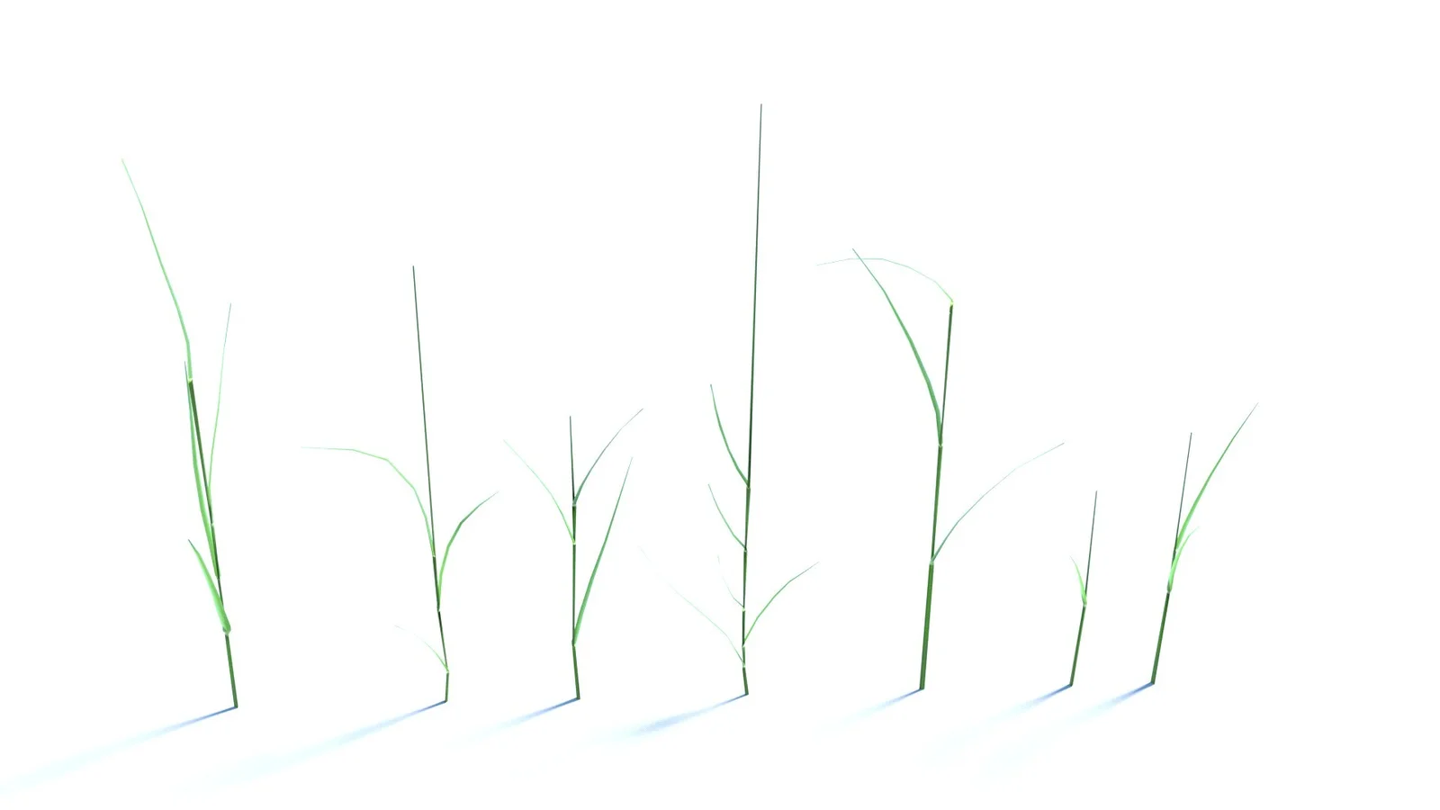 Bent Grass screenshot 6