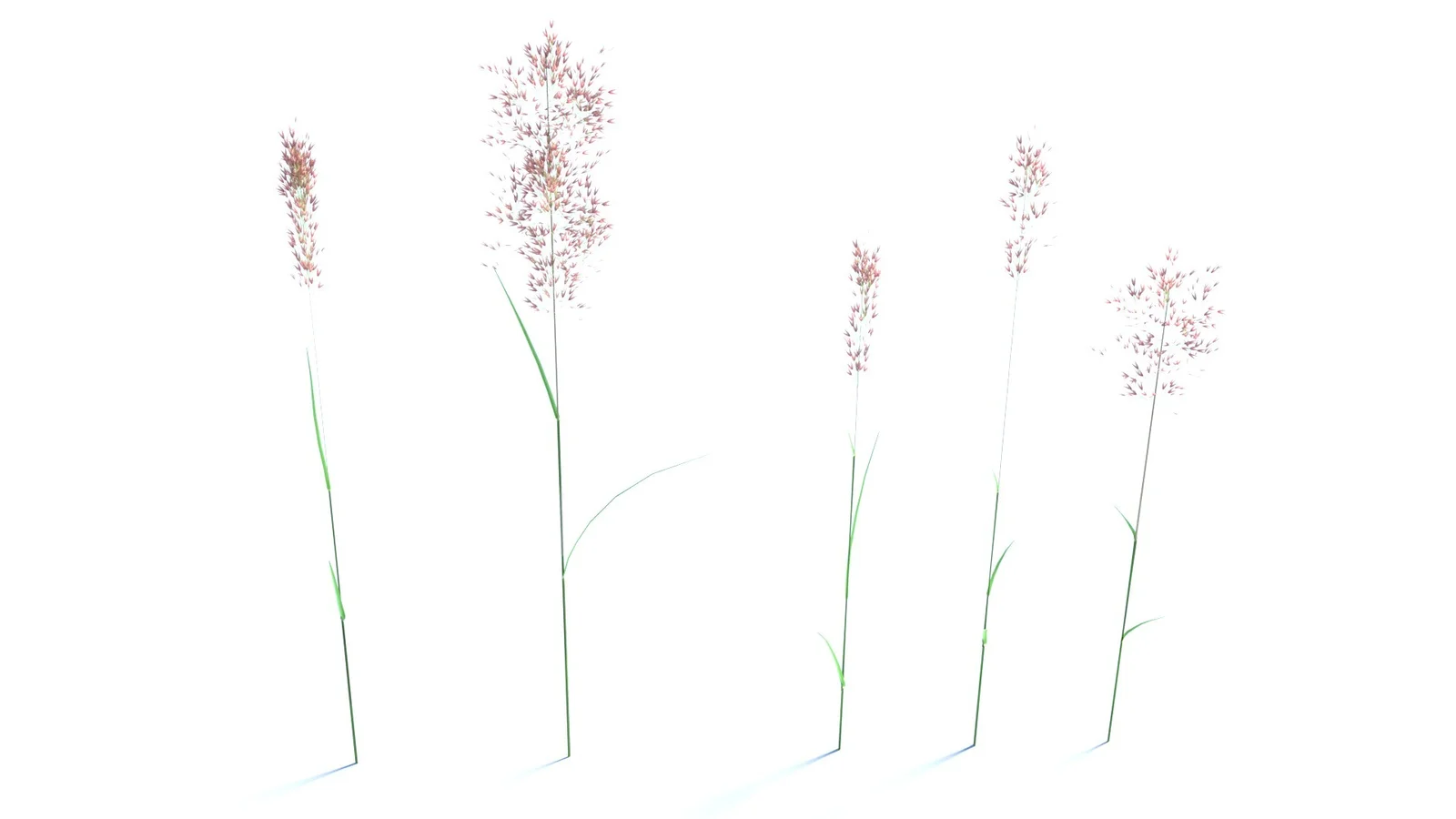 Bent Grass screenshot 7