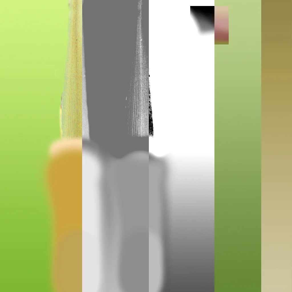 Bent Grass screenshot 8