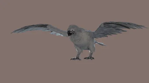 Big Bird - Blender 3d models