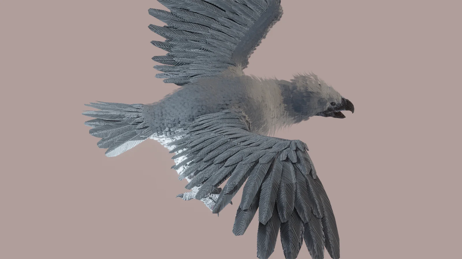 Big Bird screenshot 2