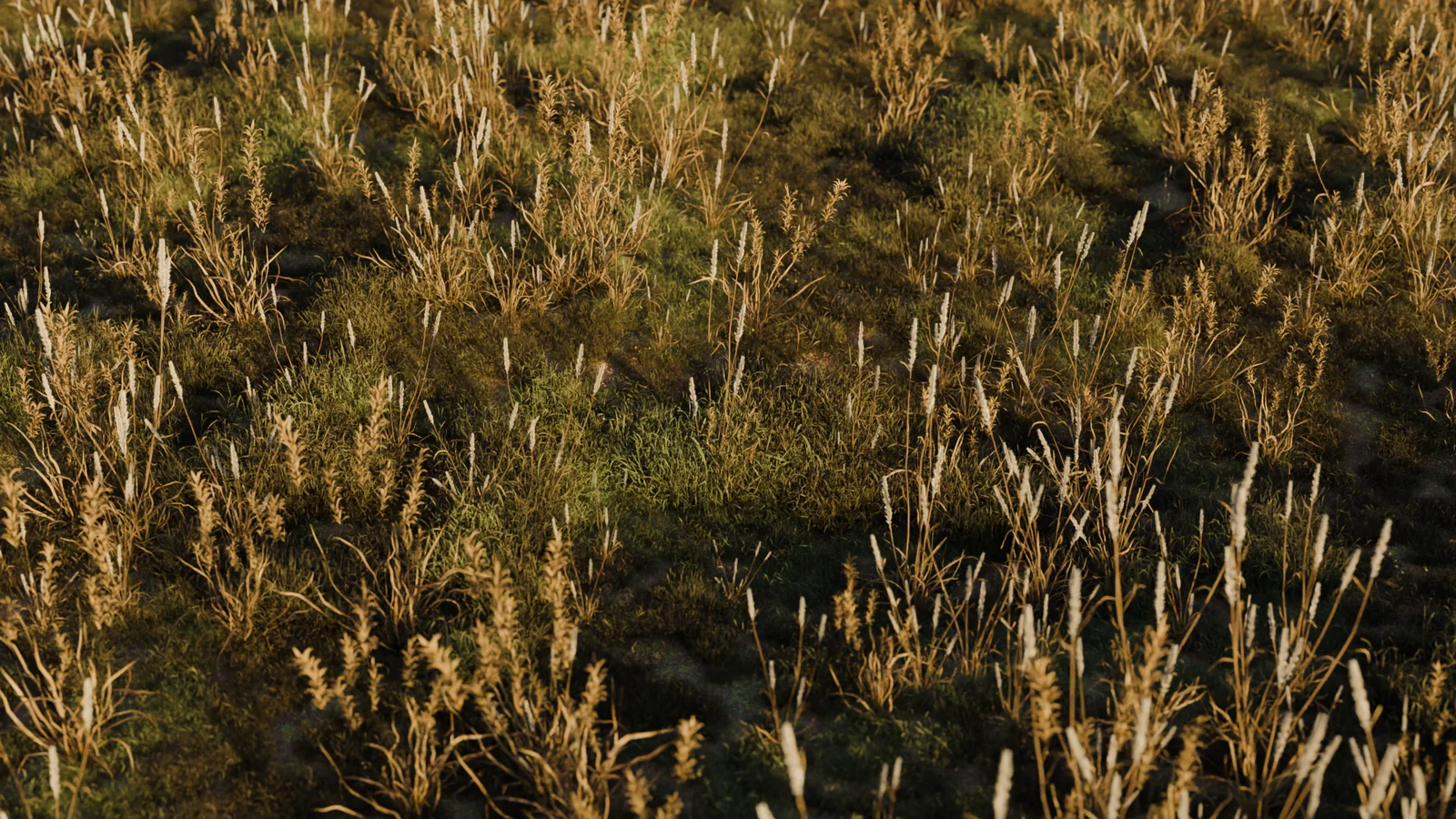 Biome-Reader screenshot 7