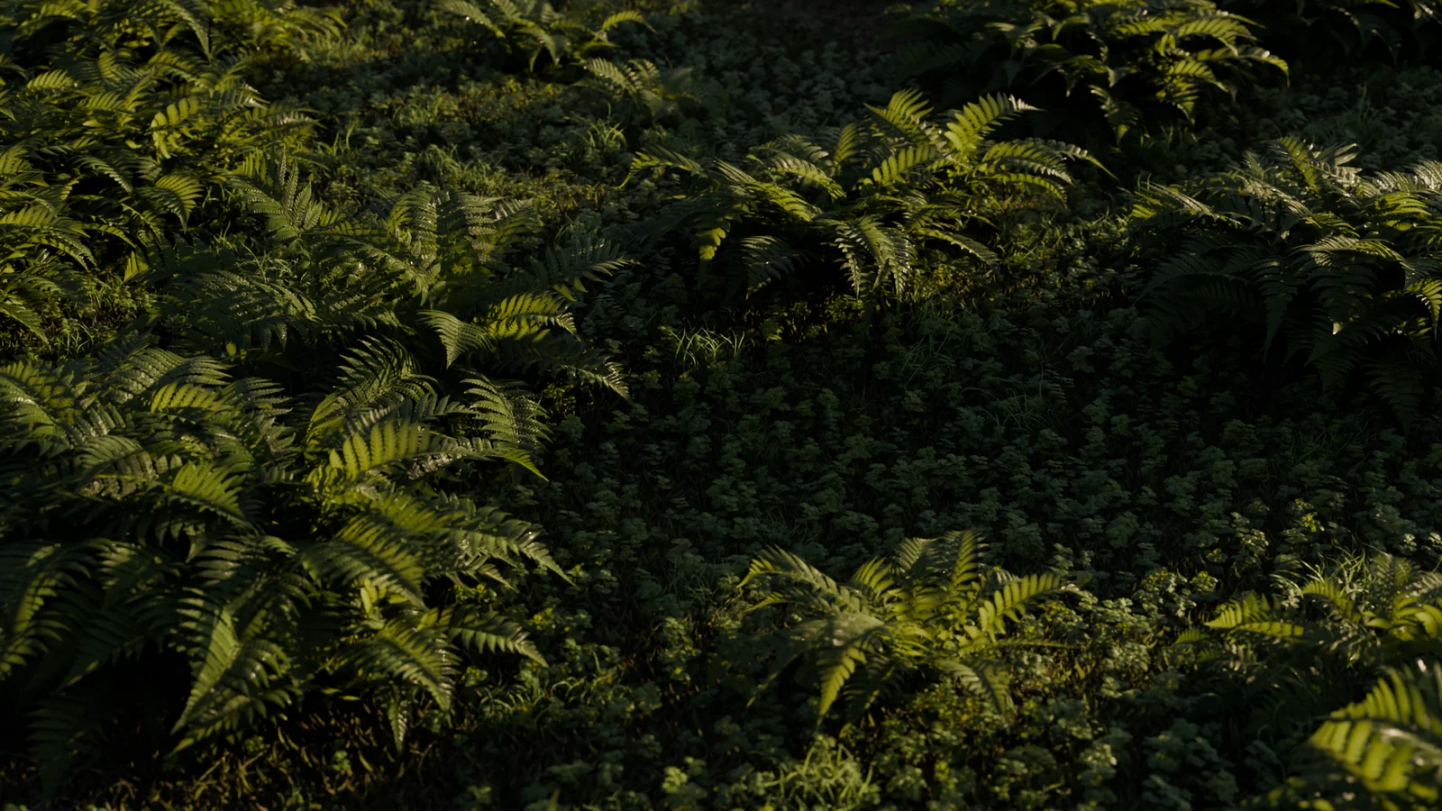 Biome-Reader screenshot 8