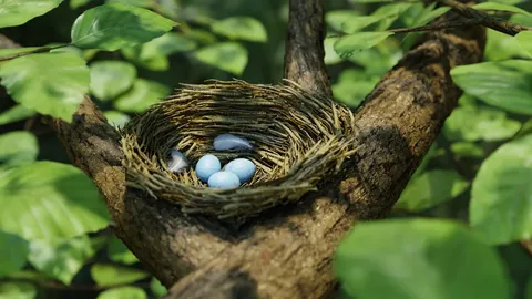 Bird Nest Nature Scene - Blender scenes
