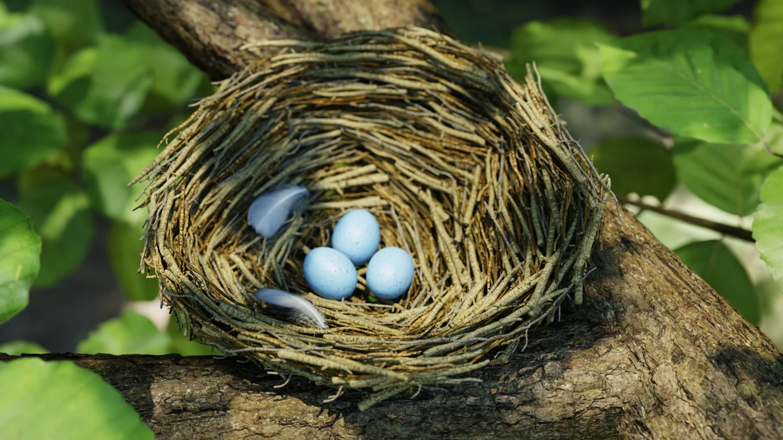 Bird Nest Nature Scene screenshot 3