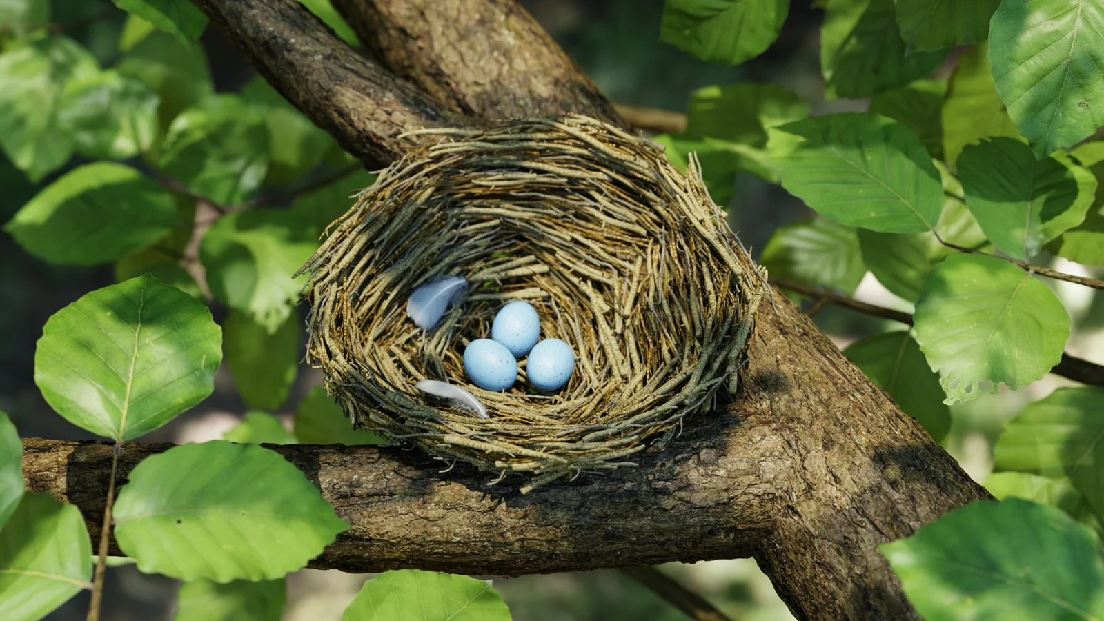 Bird Nest Nature Scene screenshot 6