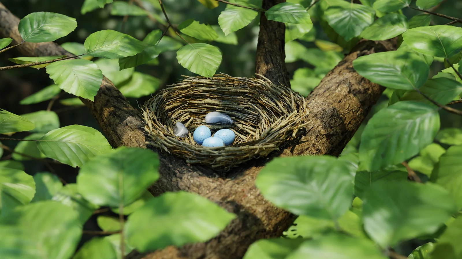 Bird Nest Nature Scene screenshot 8