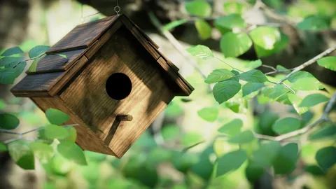 Birdhouse Nature Animation - Blender tutorials & courses