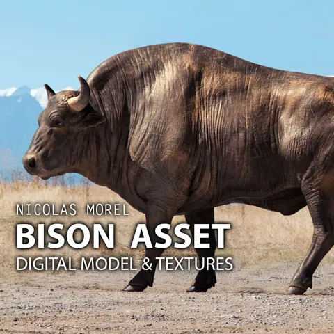 Bison 3D Asset - Blender 3d models