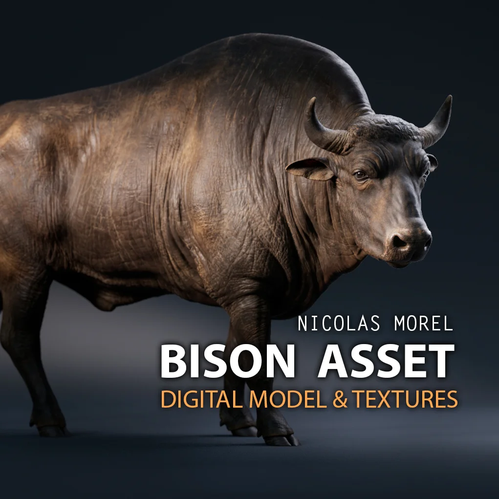 Bison 3D Asset screenshot 2