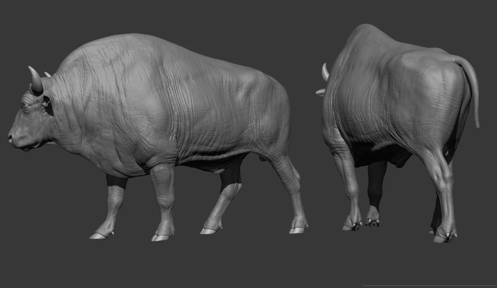 Bison 3D Asset screenshot 3