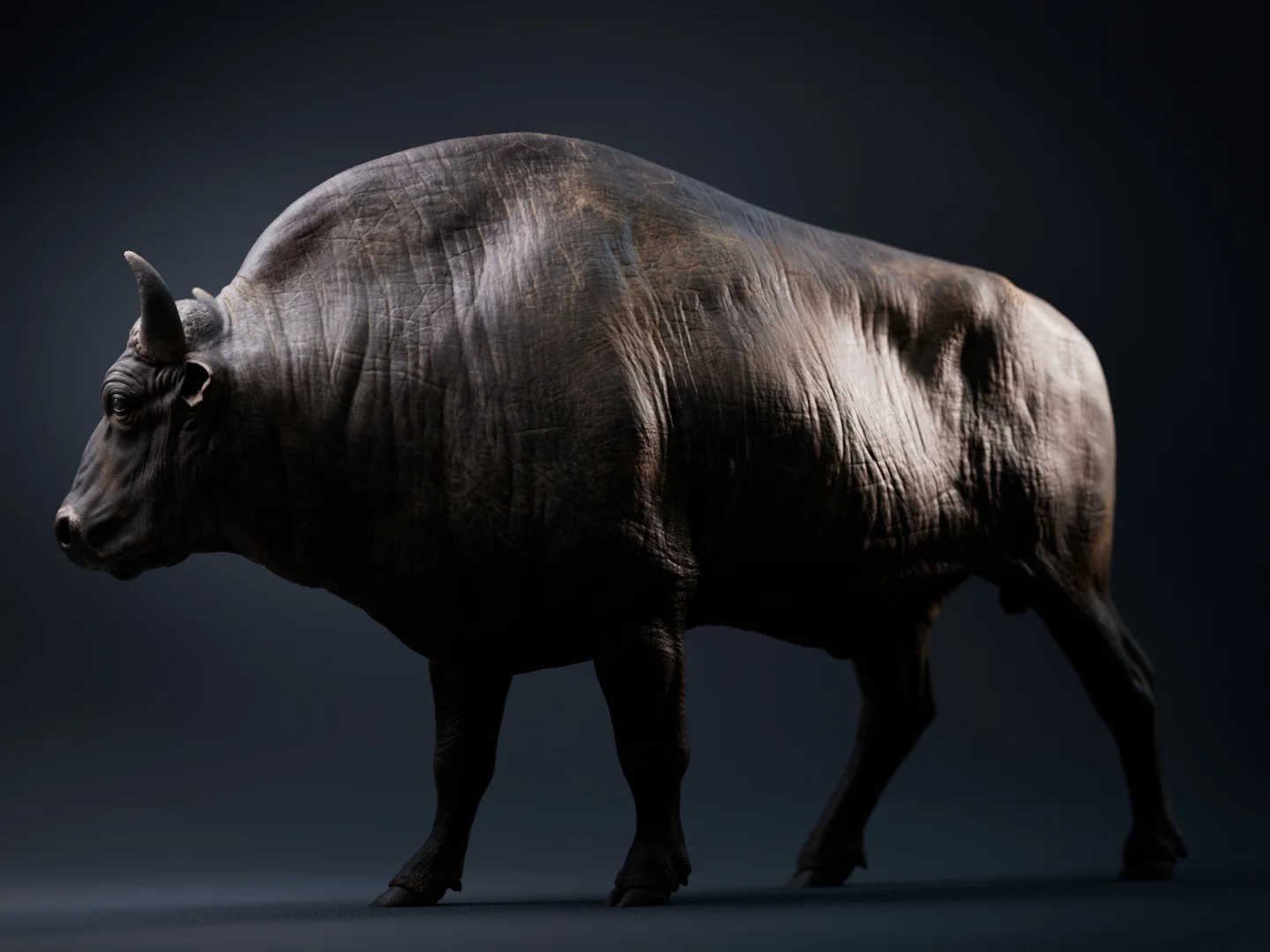 Bison 3D Asset screenshot 6