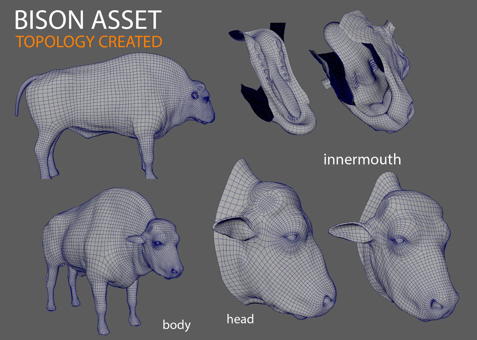 Bison 3D Asset screenshot 8