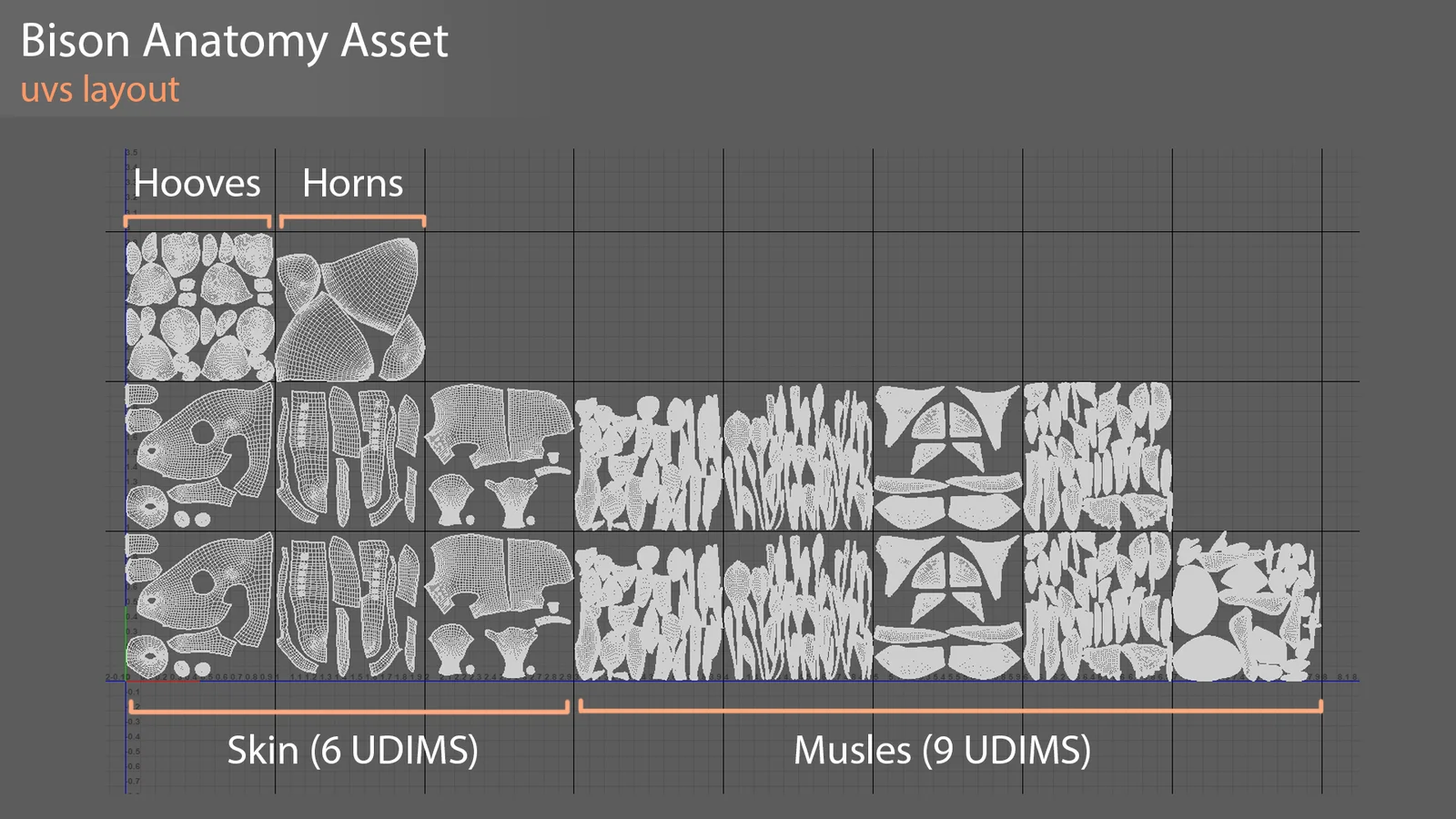 Bison Anatomy Model screenshot 5