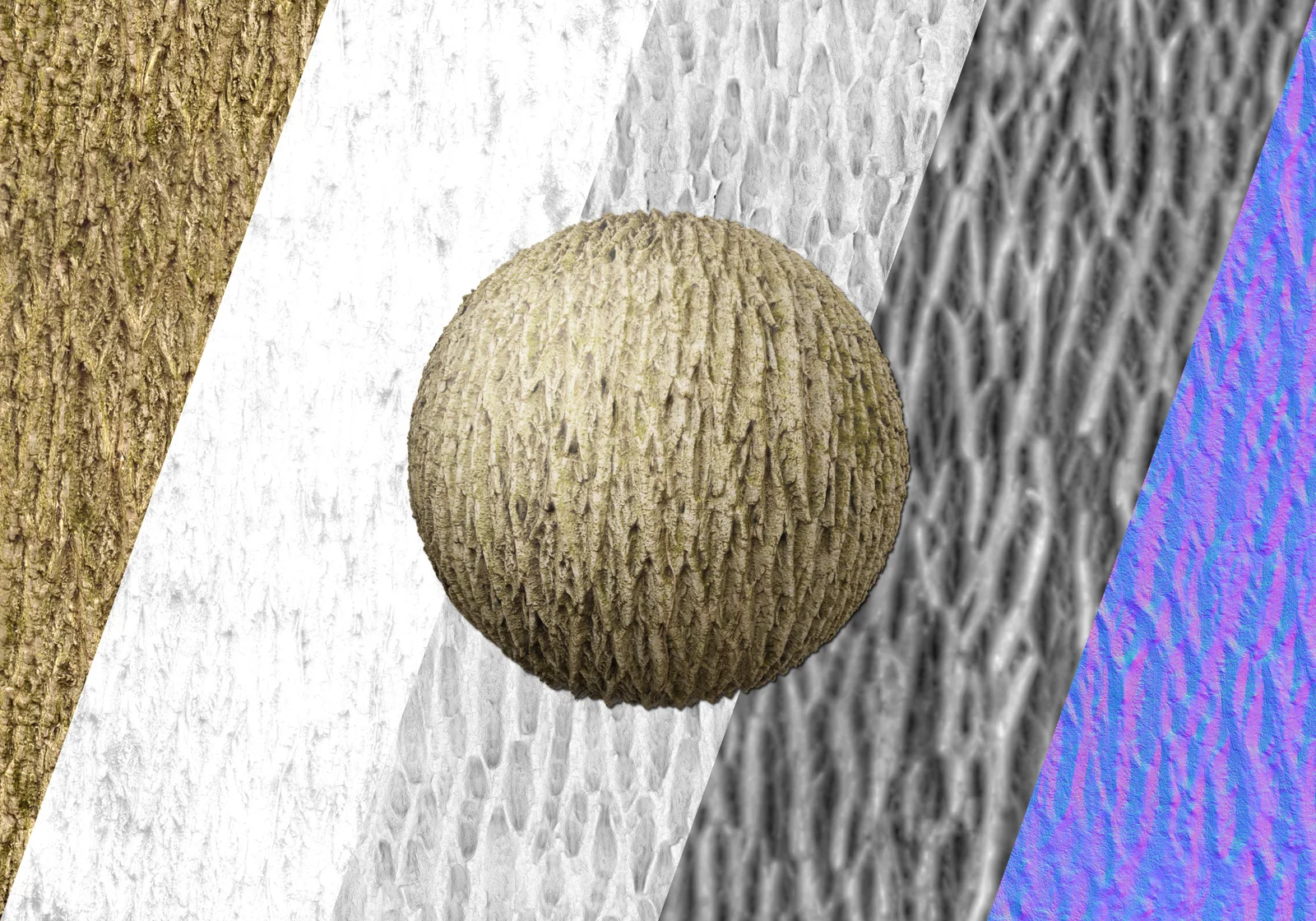 Black Walnut 1 screenshot 2