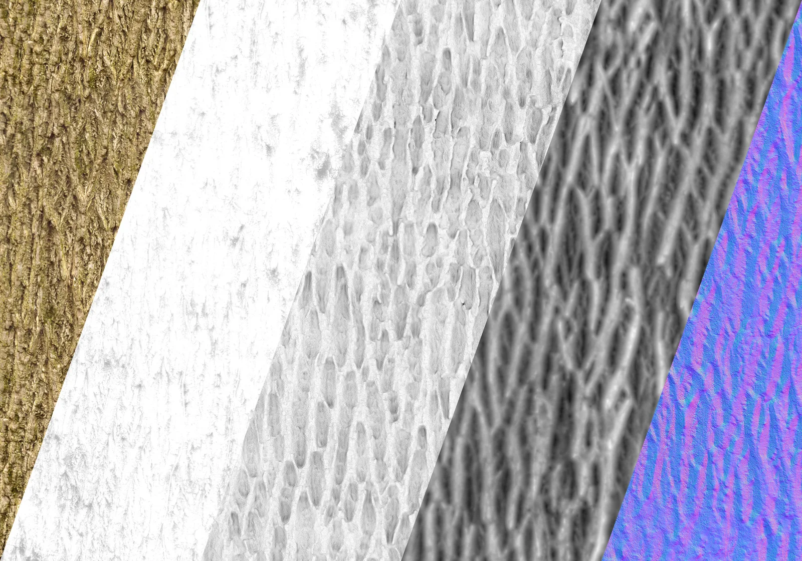 Black Walnut 1 screenshot 3