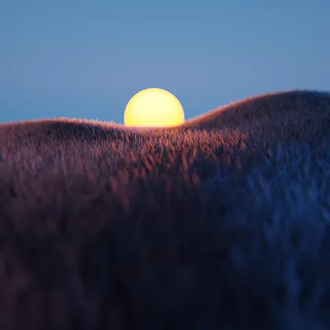Grass System - Blender geometry nodes