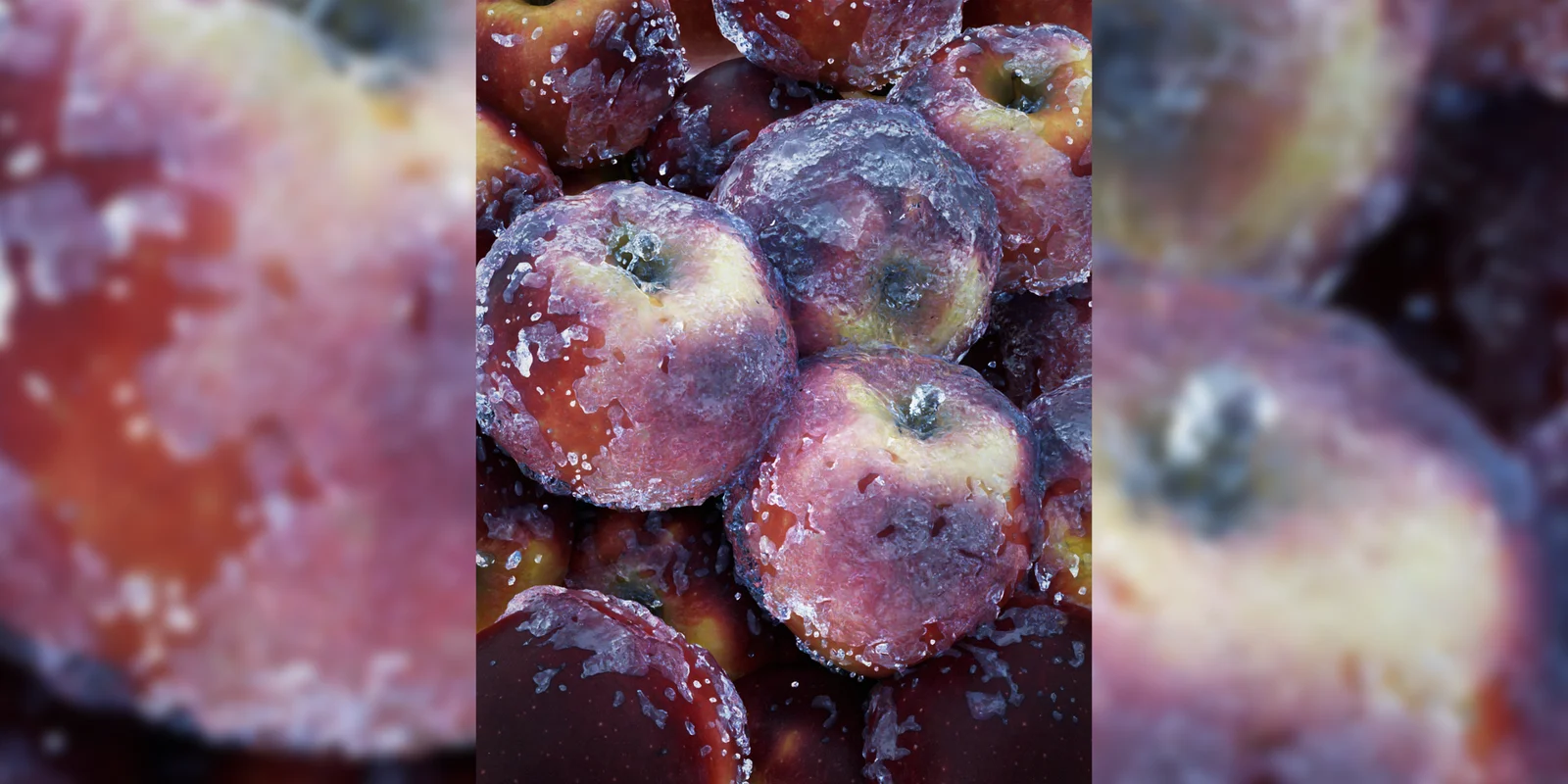 Frostyice Tools screenshot 3