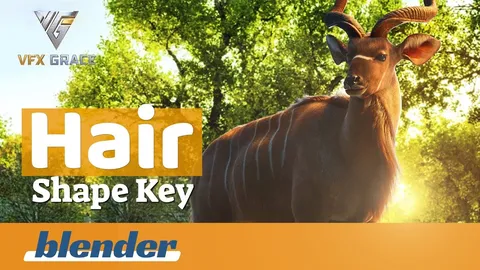 Hair Shape Key - Blender addons