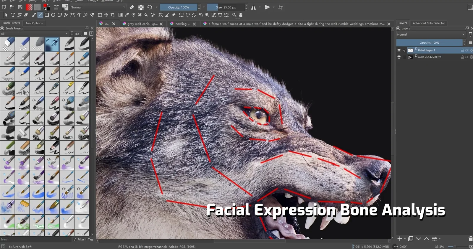 Eurasian Wolf Advanced Rigging Case Study screenshot 3
