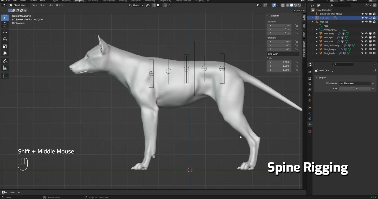 Eurasian Wolf Advanced Rigging Case Study screenshot 8
