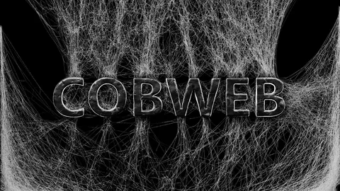 Cobweb Generator - Blender addons
