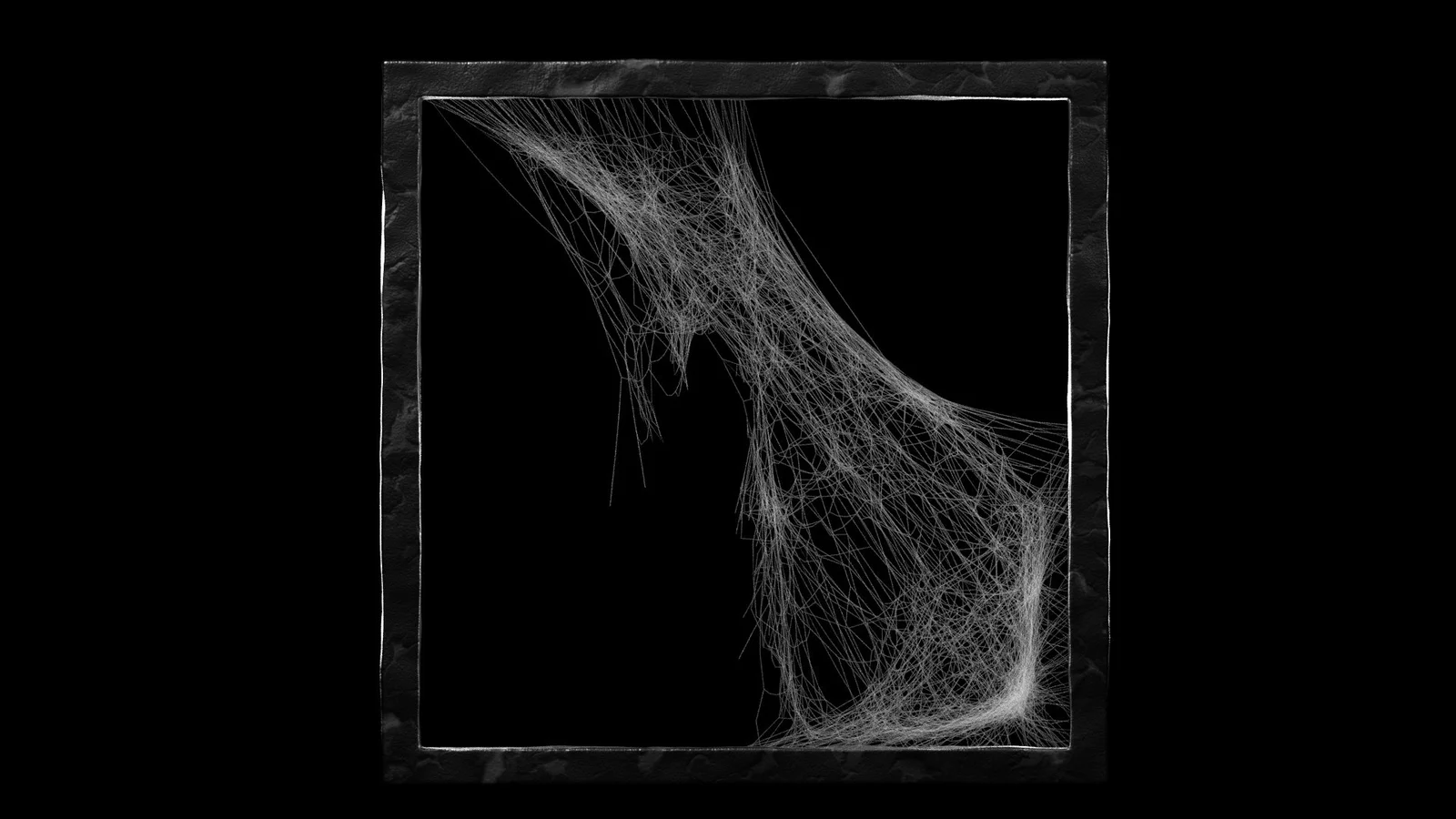 Cobweb Generator screenshot 4