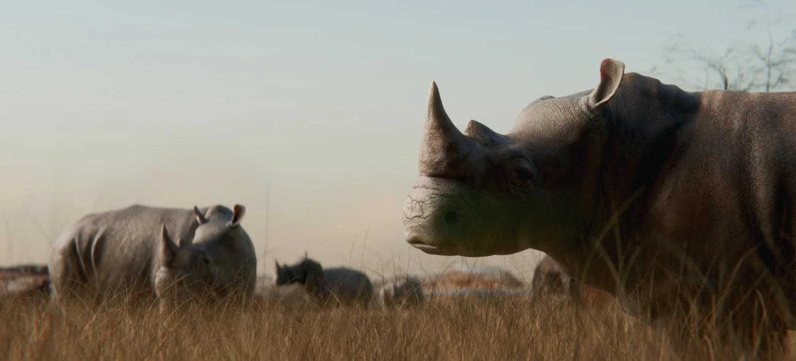 Film Compositor screenshot 6