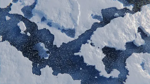 Modular Polar Region - Blender geometry nodes