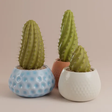 Procedural Cactus - Blender geometry nodes