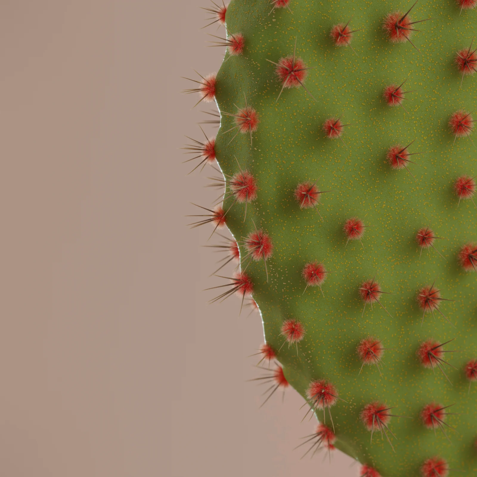 Ear Cactus screenshot 2