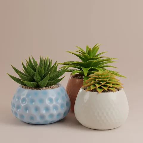 Geometry Nodes Succulents - Blender geometry nodes