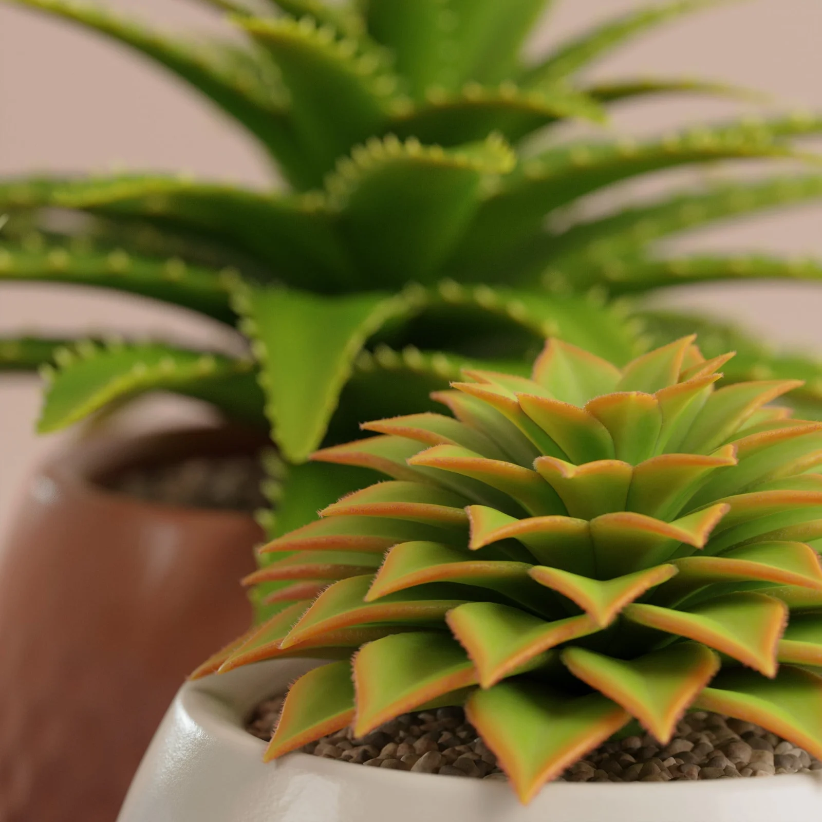 Geometry Nodes Succulents screenshot 2