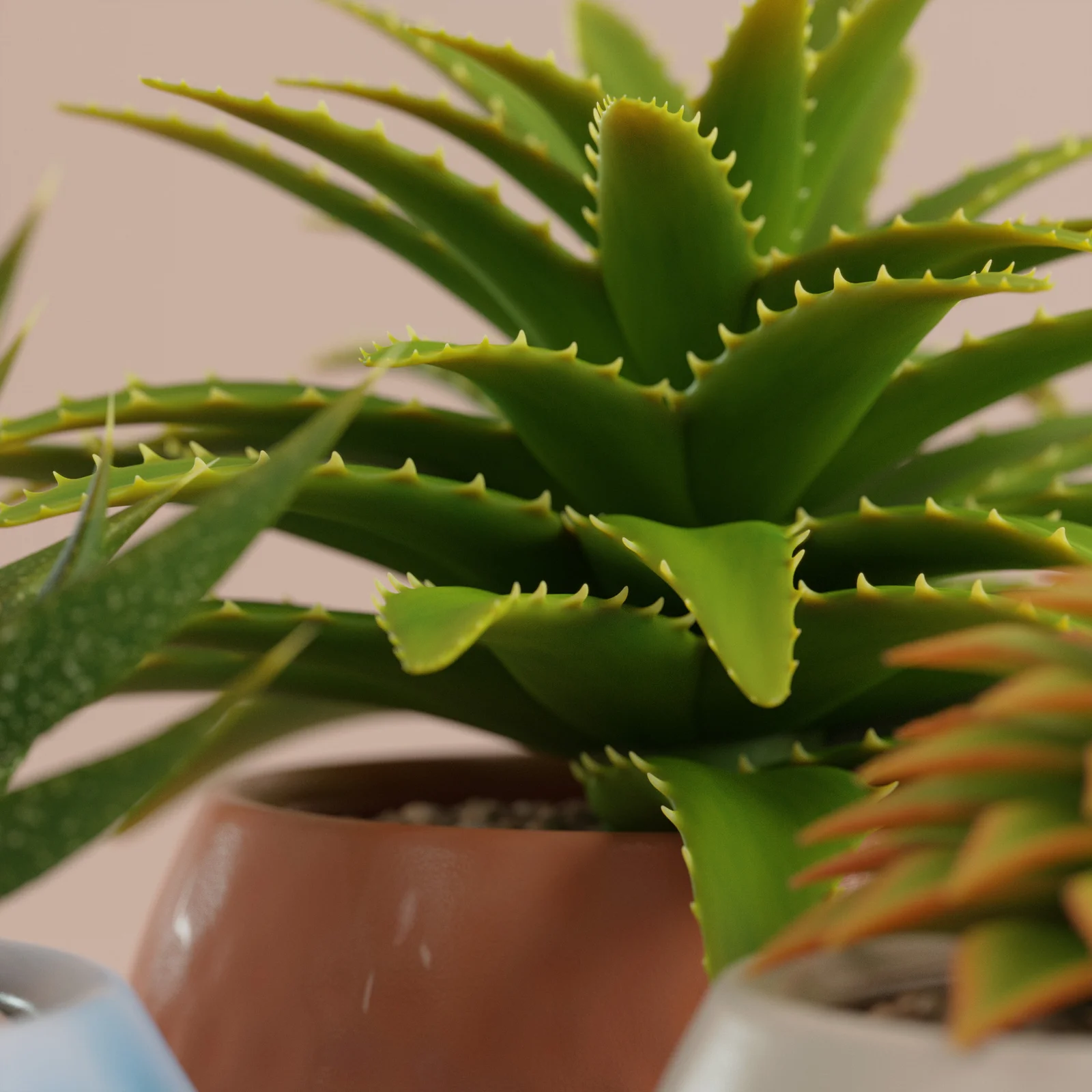 Geometry Nodes Succulents screenshot 3