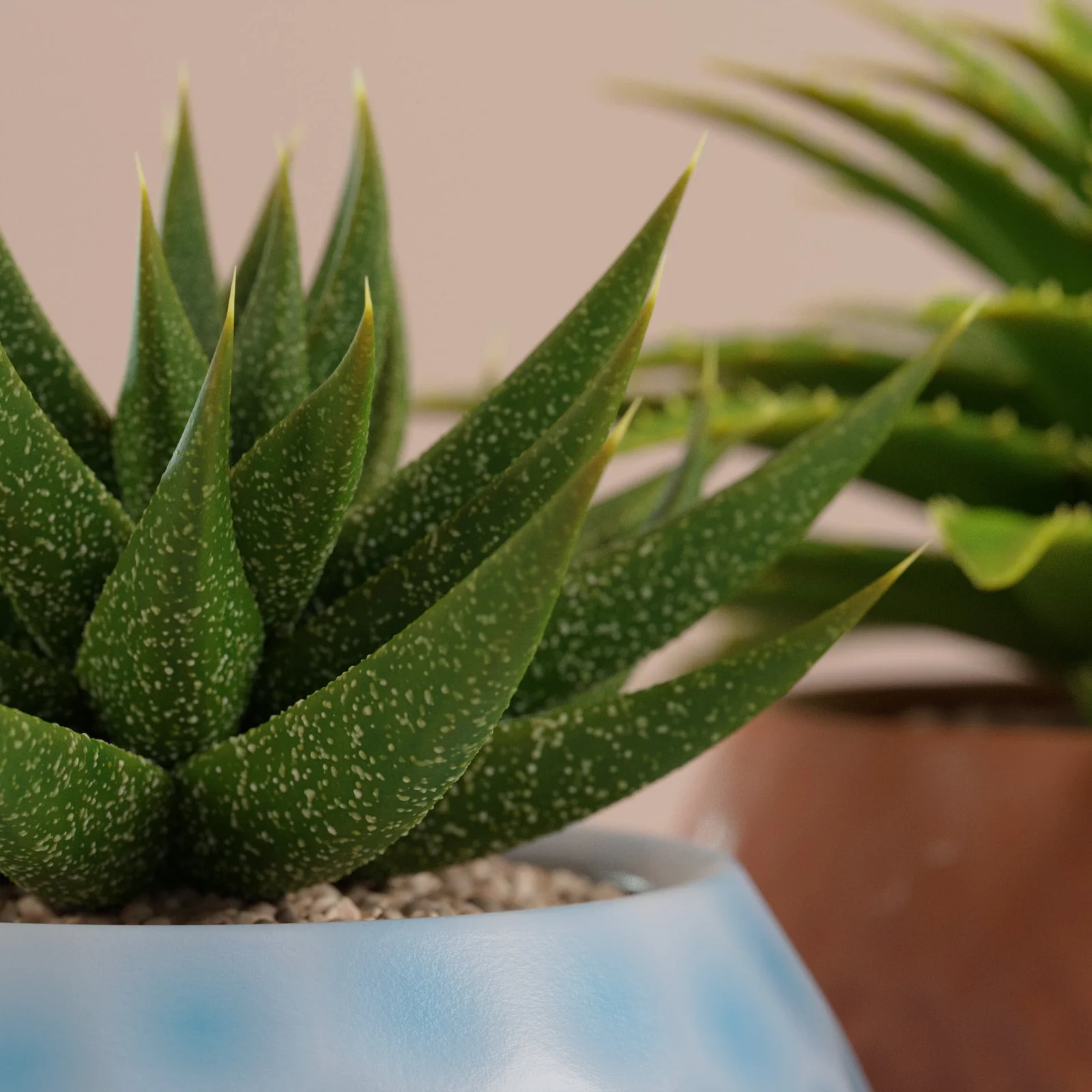 Geometry Nodes Succulents screenshot 4